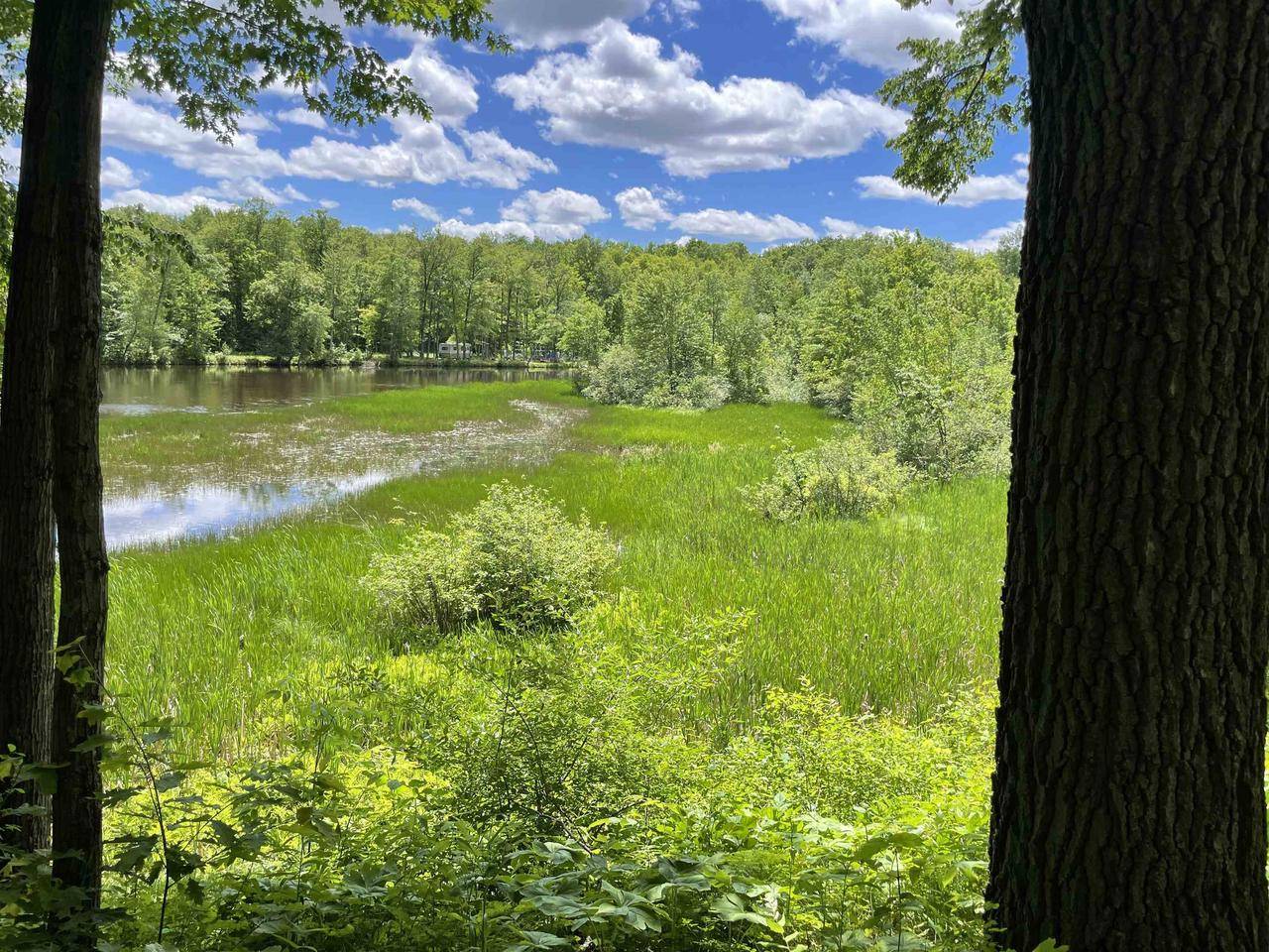 Oconto Falls, WI 54154-9537,BIRCHWOOD SHORES LANE