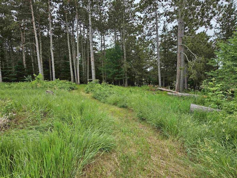 2988 CEDAR ROAD, Rosholt, WI 54473-8967