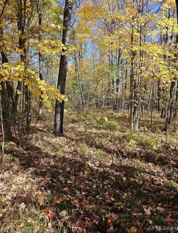 Long Lake, WI 54542-9555,4098 SETTLEMENT ROAD