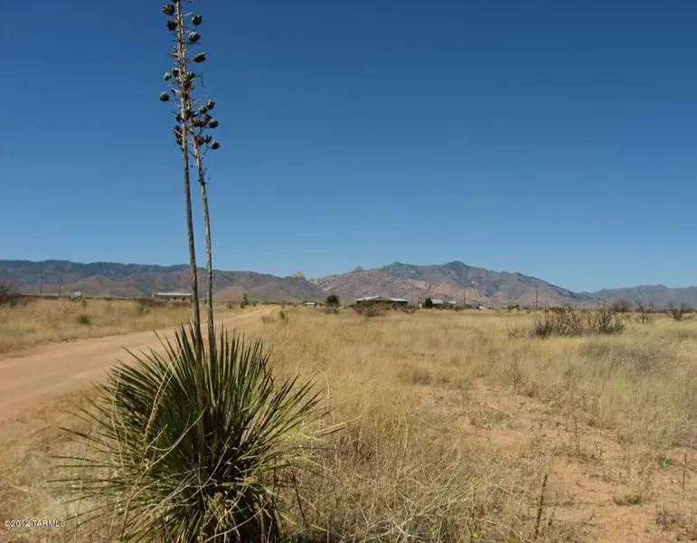 2 LOTS (1.65 AC) on Lansing Road #1&2, Pearce, AZ 85625