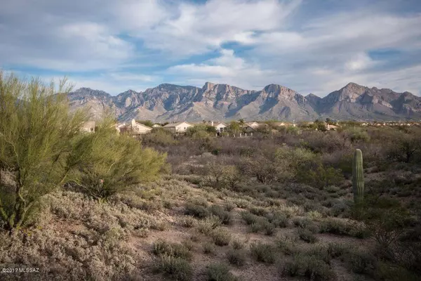 Oro Valley, AZ 85755,12526 N Vistoso View Place