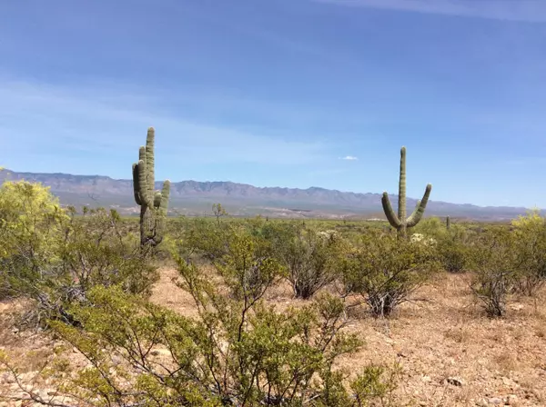 Peppersauce mine Rd  #0, San Manuel, AZ 85631