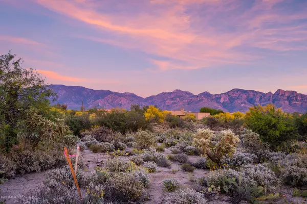 Oro Valley, AZ 85755,14 W Shimmering Sand Place #Lot 494