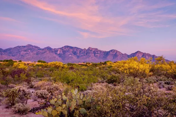 14 W Shimmering Sand Place #Lot 494, Oro Valley, AZ 85755