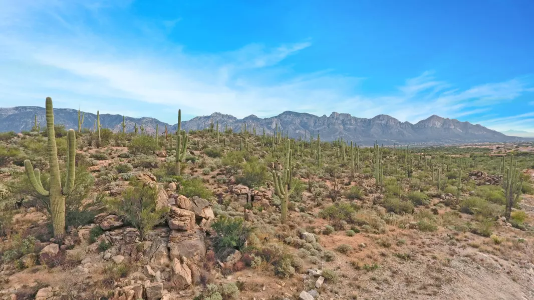 1795 Tortolita Mountain Circle #501, Oro Valley, AZ 85755