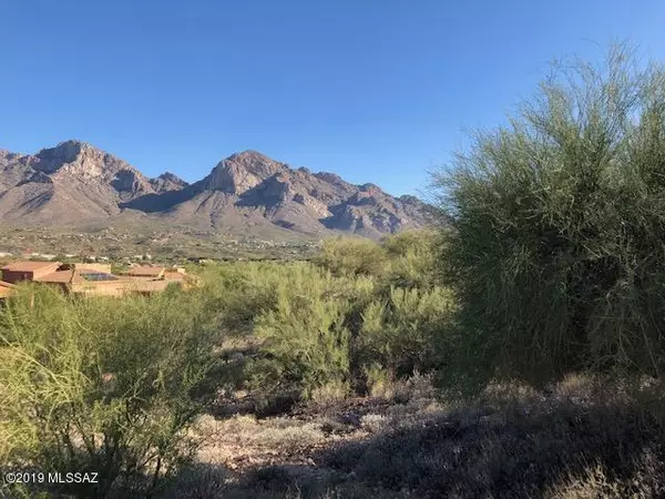 Oro Valley, AZ 85737,10754 N CHAPIN Court