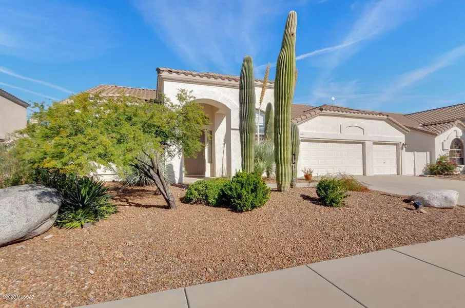 262 W Geeseman Springs Drive, Oro Valley, AZ 85755