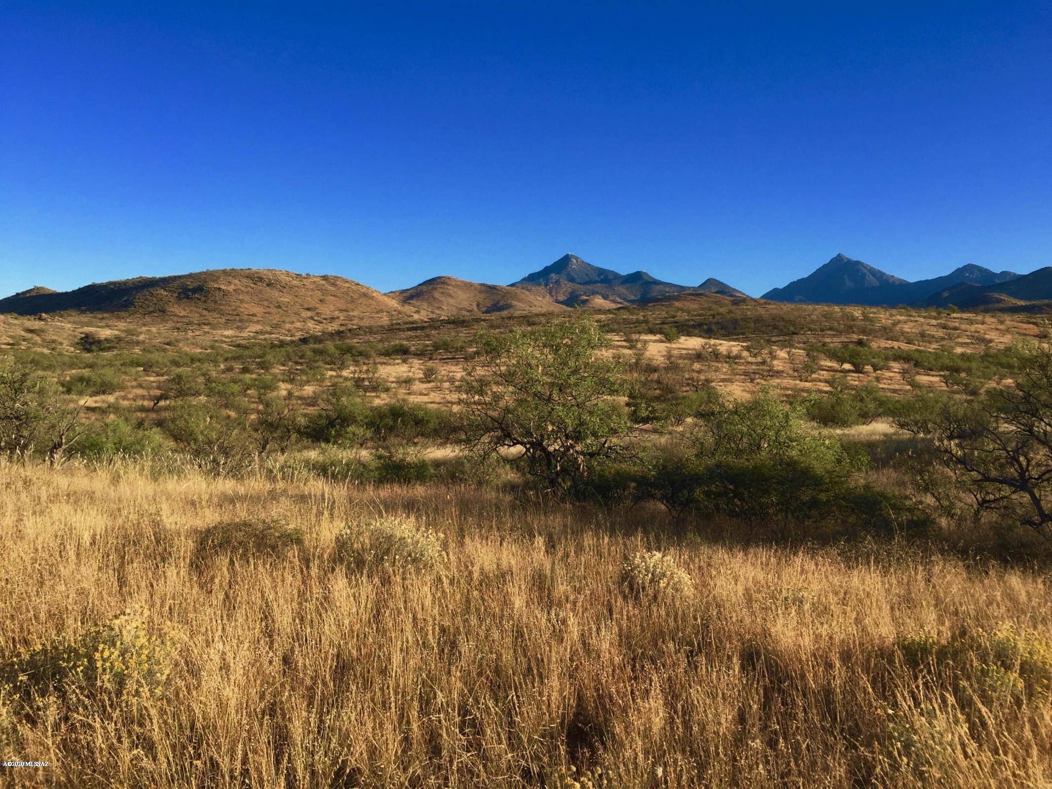 Tubac, AZ 85646,31 Poorwill Canyon Ct  #16
