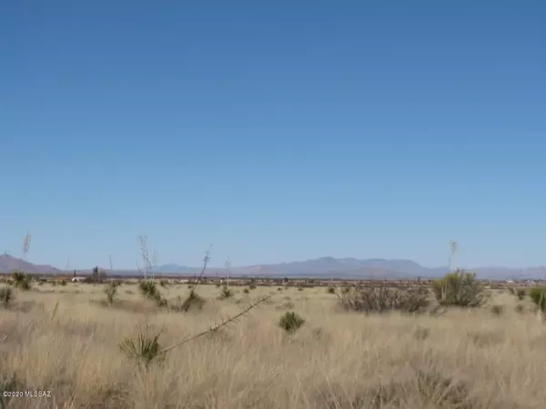 Pearce, AZ 85625,2 LOTS (2.14 AC) Upton Road #15/16