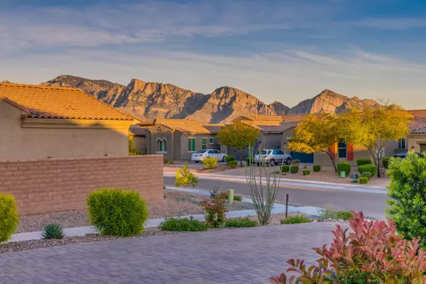 Oro Valley, AZ 85755,13305 N Rainbow Cactus Court