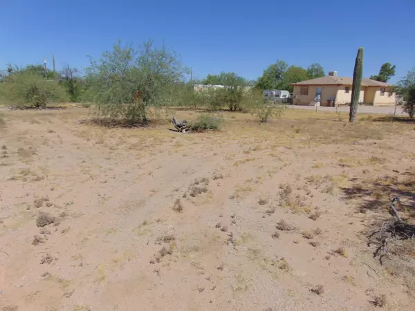 Marana, AZ 85653,12643 N Carbine Road #169