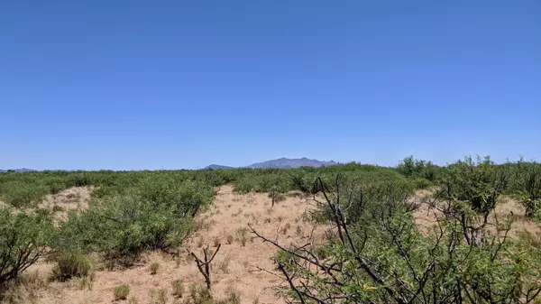 Pearce, AZ 85625,9 ACRES on HWY  181  #-