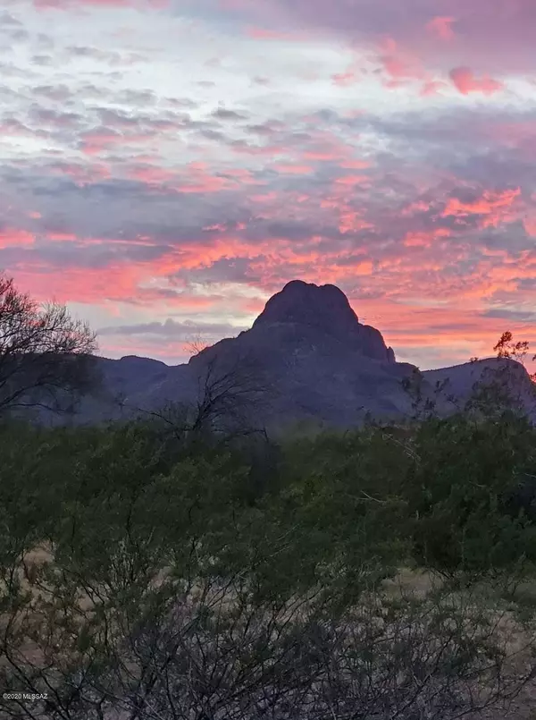 Tucson, AZ 85743,8321 N Amber Burst Drive