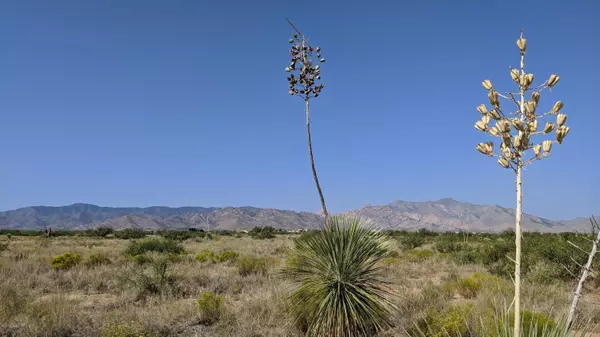 Pearce, AZ 85625,4.22 ACRES on Treasure Road #-