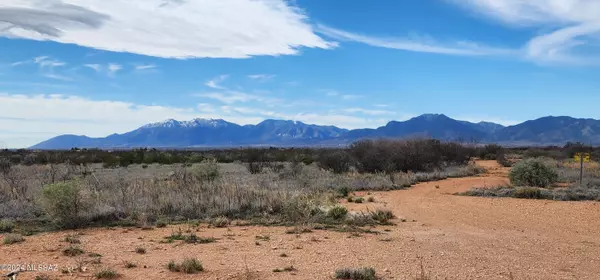 Huachuca City, AZ 85616,86 ACRES AZ-82  #00