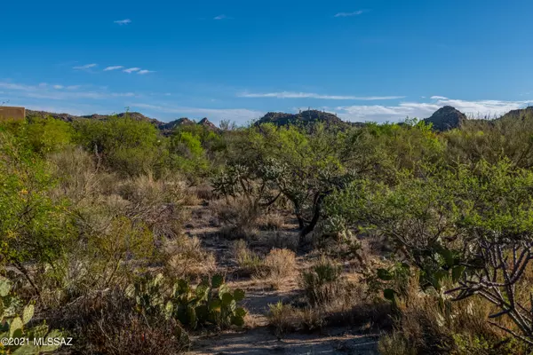 Oro Valley, AZ 85755,1292 Twisted Mesquite Place #5