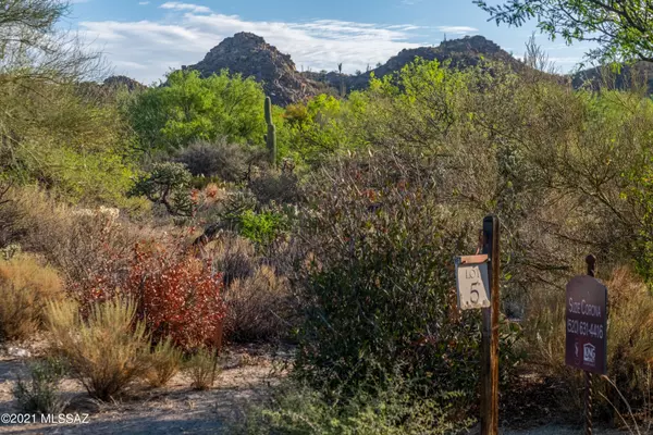 Oro Valley, AZ 85755,1292 Twisted Mesquite Place #5