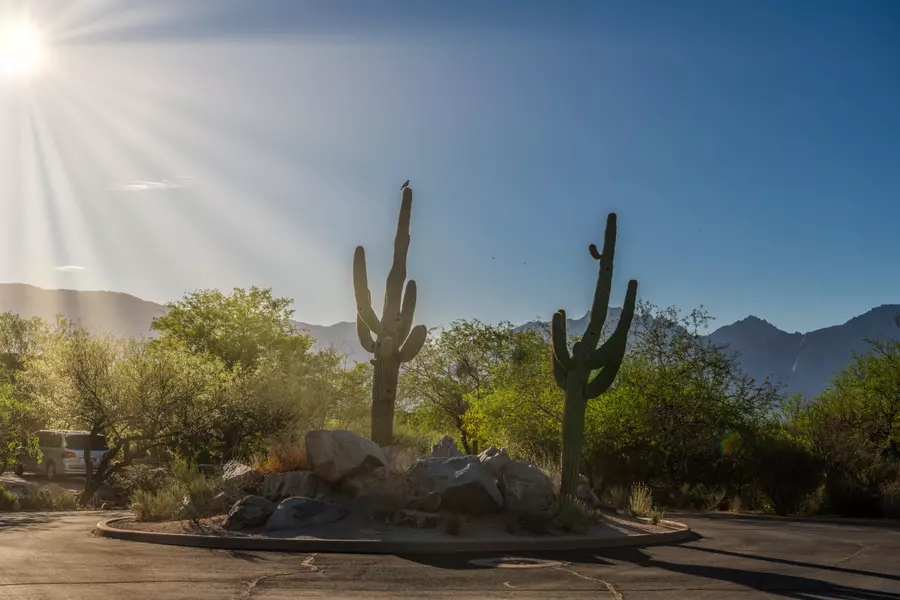 1292 Twisted Mesquite Place #5, Oro Valley, AZ 85755