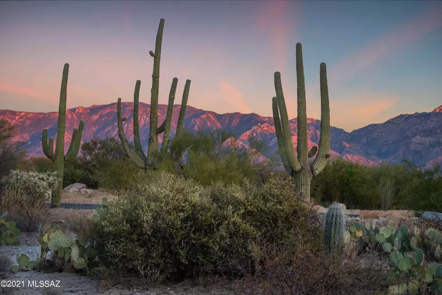 14077 N Flint Peak Place #599, Oro Valley, AZ 85755