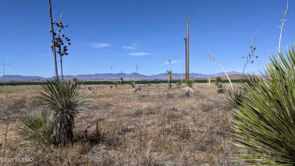 Pearce, AZ 85625,5932 E Clapp Homestead Road #-