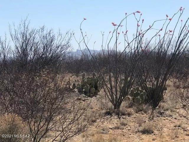 TBD Camino Obregon  #68, Tubac, AZ 85646