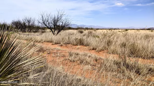 Pearce, AZ 85625,1.07 ACRE off Desert Road #-