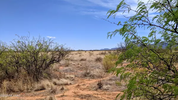 Pearce, AZ 85625,1.07 ACRE off Desert Road #-