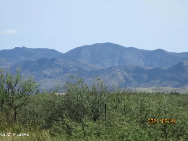 Pearce, AZ 85625,TBD E HIGHWAY 181