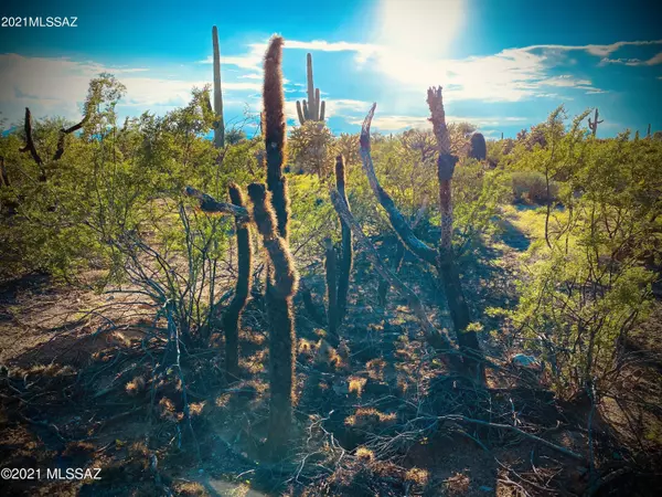 Marana, AZ 85658,XX Amber Sunrise 40 acre