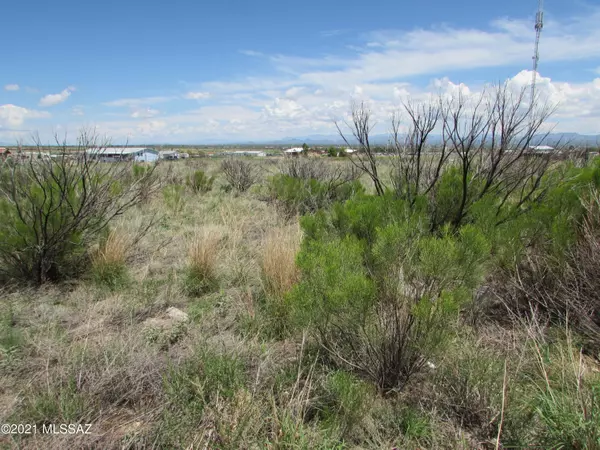 Hereford, AZ 85615,TBD 1.48AC E Hereford Road #-