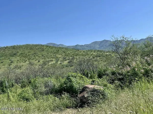 TBD Tejano Springs Rd  #79, Rio Rico, AZ 85648