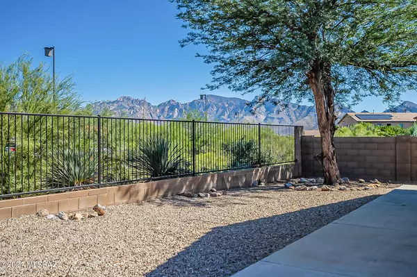 Oro Valley, AZ 85755,13068 N Desert Olive Drive