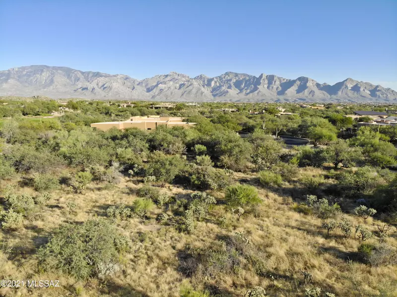 1332 W Twisted Mesquite Place #Lot 3, Oro Valley, AZ 85755