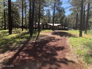 81 Turkey Trail Road, Greer, AZ 85927