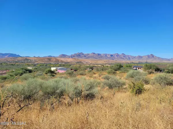 Rio Rico, AZ 85648,279 Circulo Silva  #80