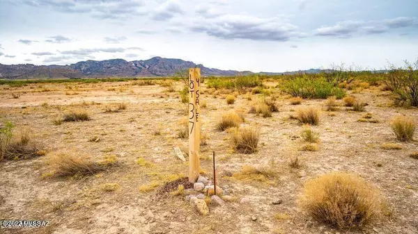 Portal, AZ 85632,Three Triangle Ranches #37 41 Acres  #37