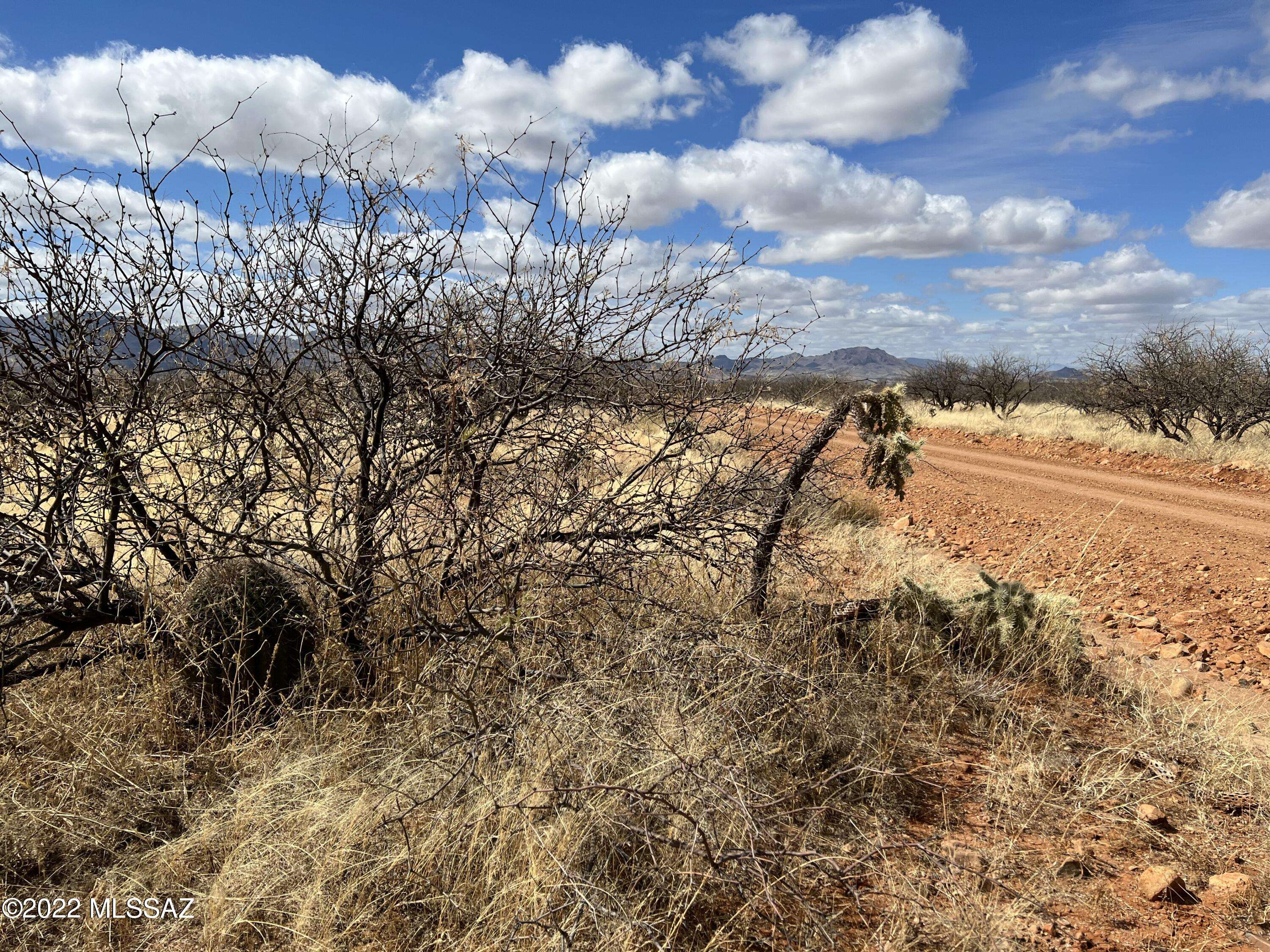 Tubac, AZ 85646,TBD Camino Nacozari/Camino Talaver  #39