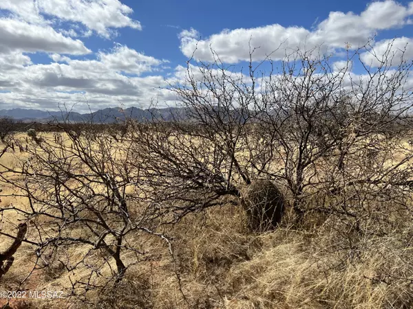 Tubac, AZ 85646,TBD Camino Nacozari/Camino Talaver  #39