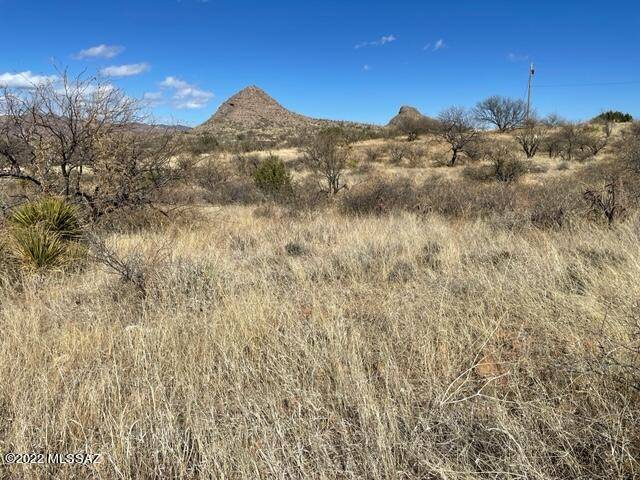 Rio Rico, AZ 85648,1121 Hebilla Ct.  #66