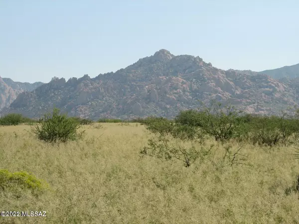 Lot 46 Cochise Trail #3, St. David, AZ 85630