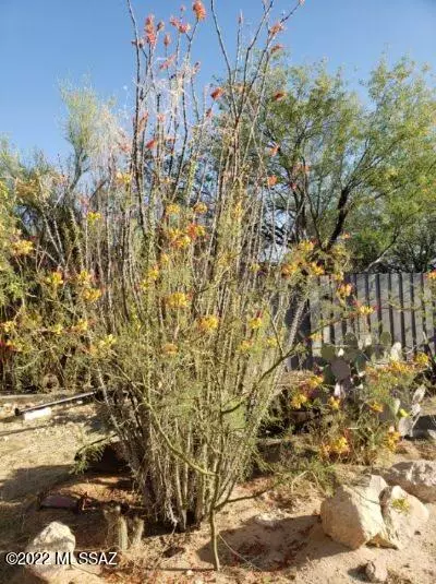 Tucson, AZ 85735,S Honeysuckle Farm Trail