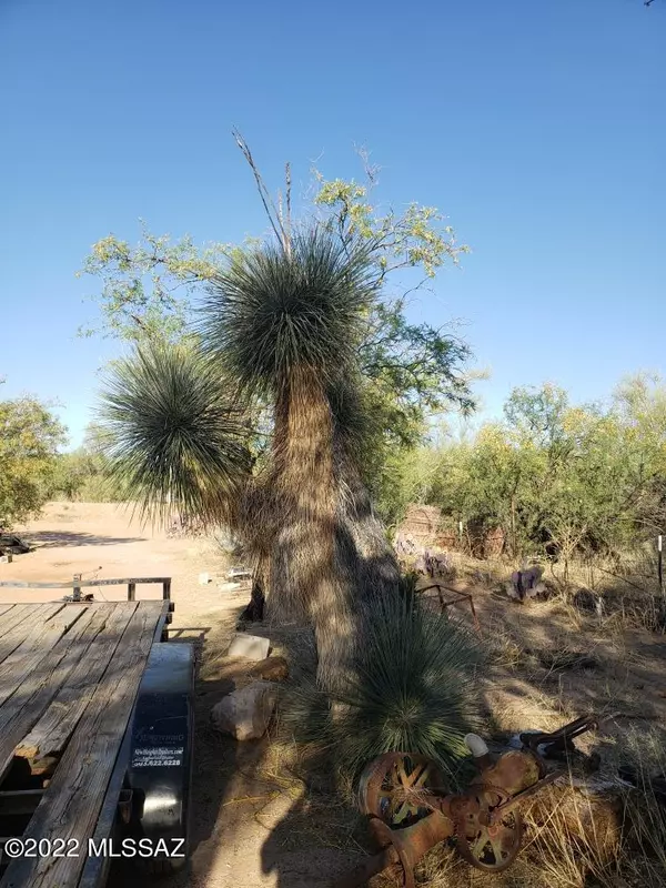 Tucson, AZ 85735,S Honeysuckle Farm Trail