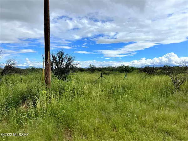 Pearce, AZ 85625,76.80 Ac E Highway 181  #4