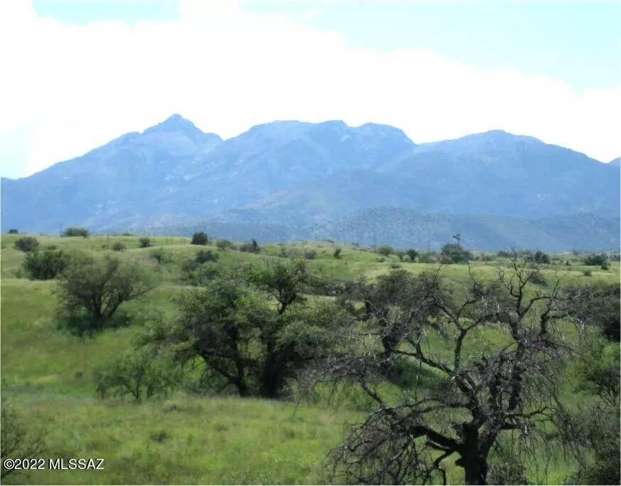 Sonoita, AZ 85637,13900 E Greaterville Road