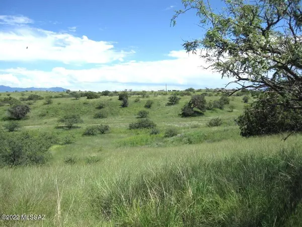 Sonoita, AZ 85637,13900 E Greaterville Road