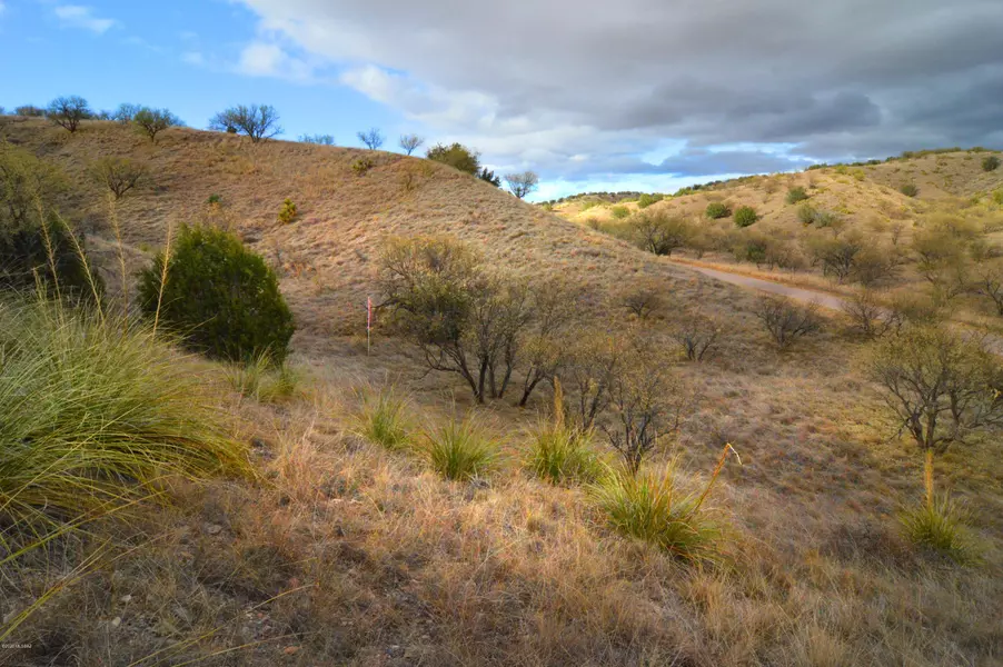 Lot 5 TangleHead Lane #., Patagonia, AZ 85624