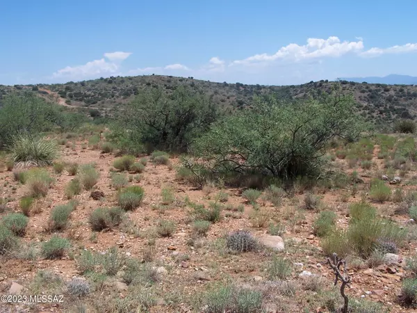 Willcox, AZ 85643,74.66ac 2 Lots Highpoint Rach  #303-311