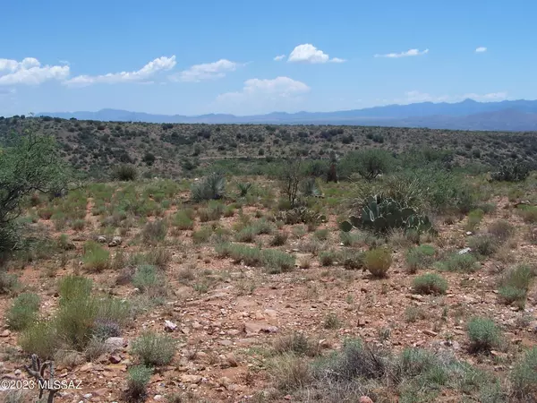 Willcox, AZ 85643,74.66ac 2 Lots Highpoint Rach  #303-311