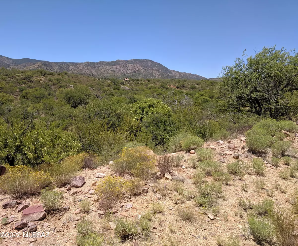 Oracle, AZ 85623,34262 S Star View Road #Lot E