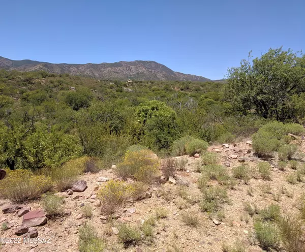 34262 S Star View Road #Lot E, Oracle, AZ 85623